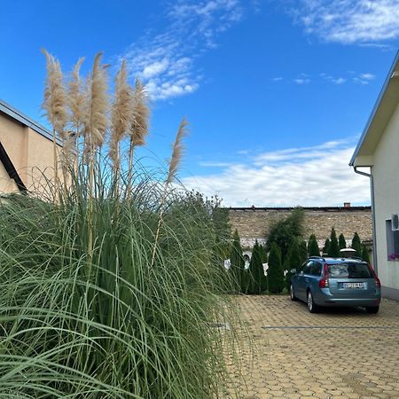 דירות נובי סאד Nest Zen Garden מראה חיצוני תמונה