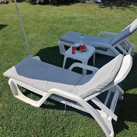 דירות נובי סאד Nest Zen Garden מראה חיצוני תמונה