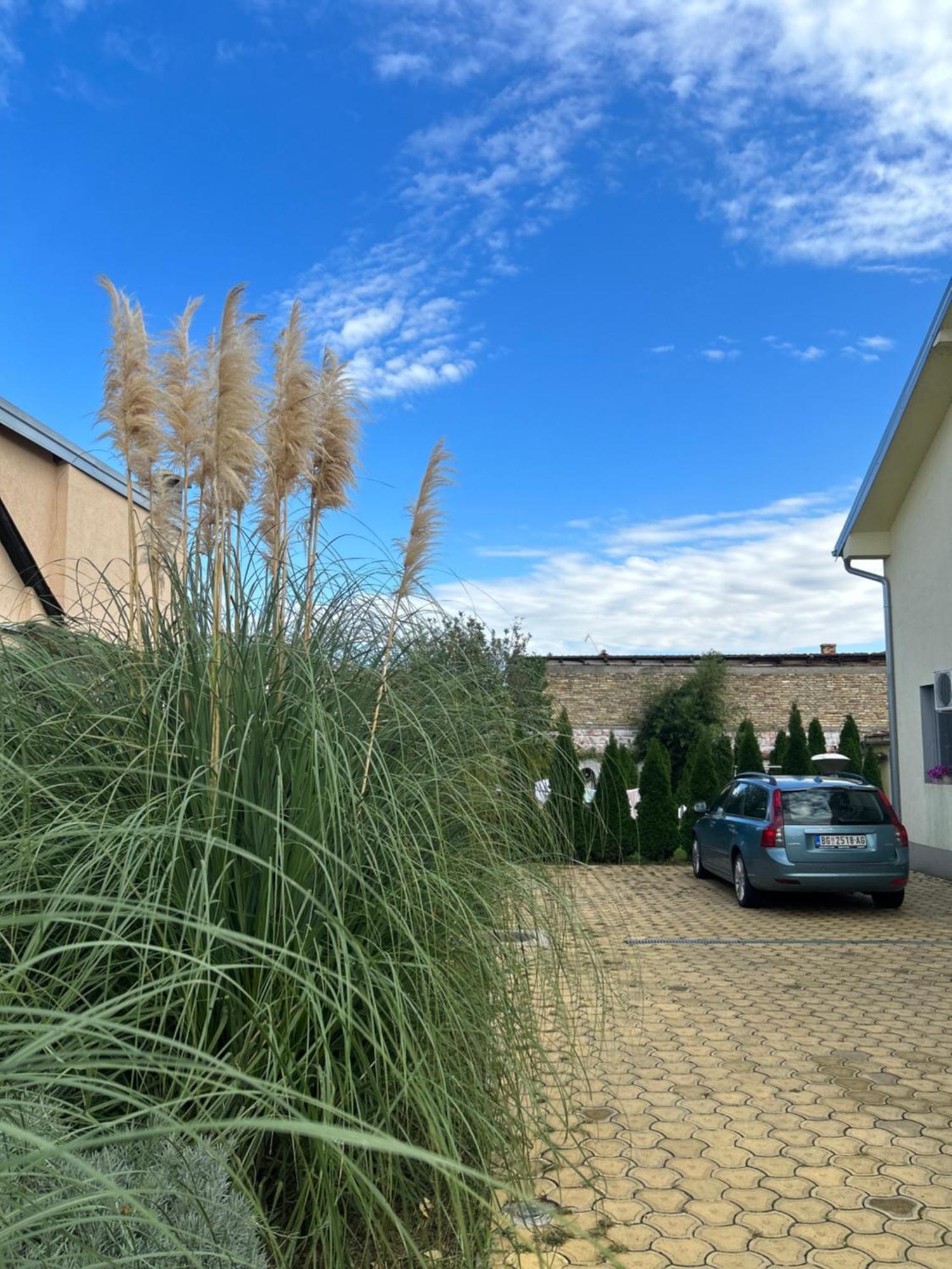 דירות נובי סאד Nest Zen Garden מראה חיצוני תמונה