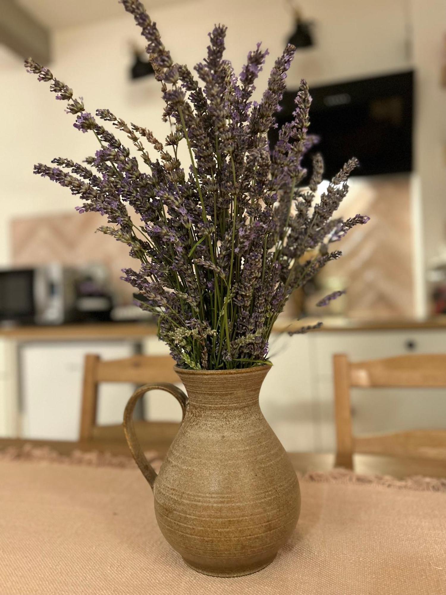 דירות נובי סאד Nest Zen Garden מראה חיצוני תמונה