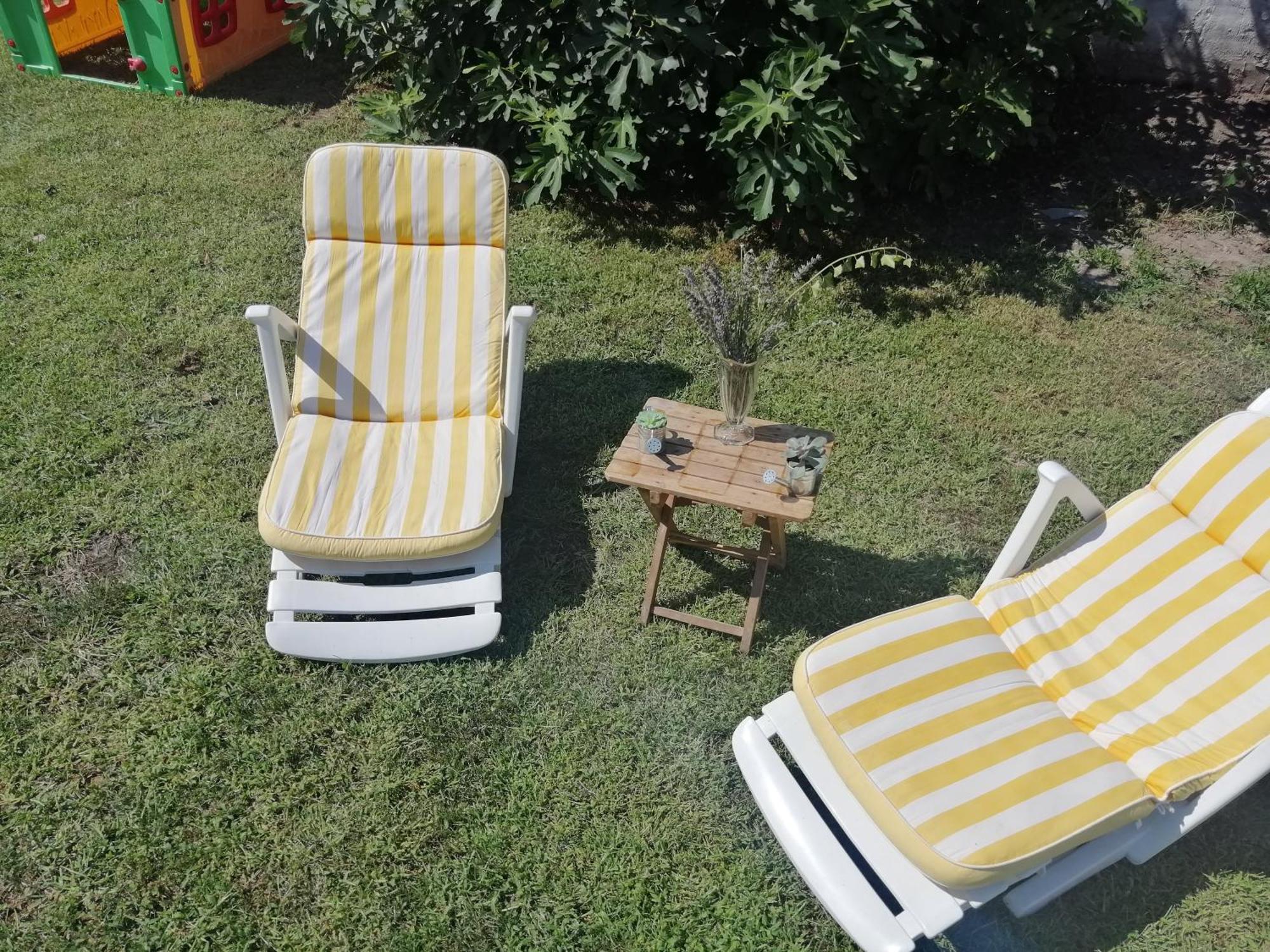 דירות נובי סאד Nest Zen Garden מראה חיצוני תמונה